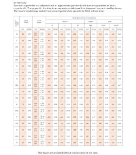 Grishiko "Fouette PRO" Pointe Shoe (0501/1)