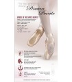 Grishko "Dreampointe 2007" pre-arched Pointe Shoe (0527/1)