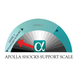 Apolla "AMP" Shocks Socks | Life Dancewear
